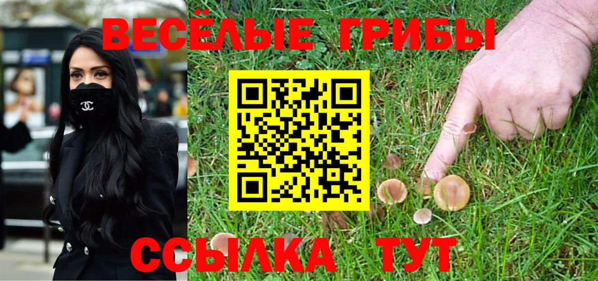 Галлюциногенные грибы ЛСД Александров