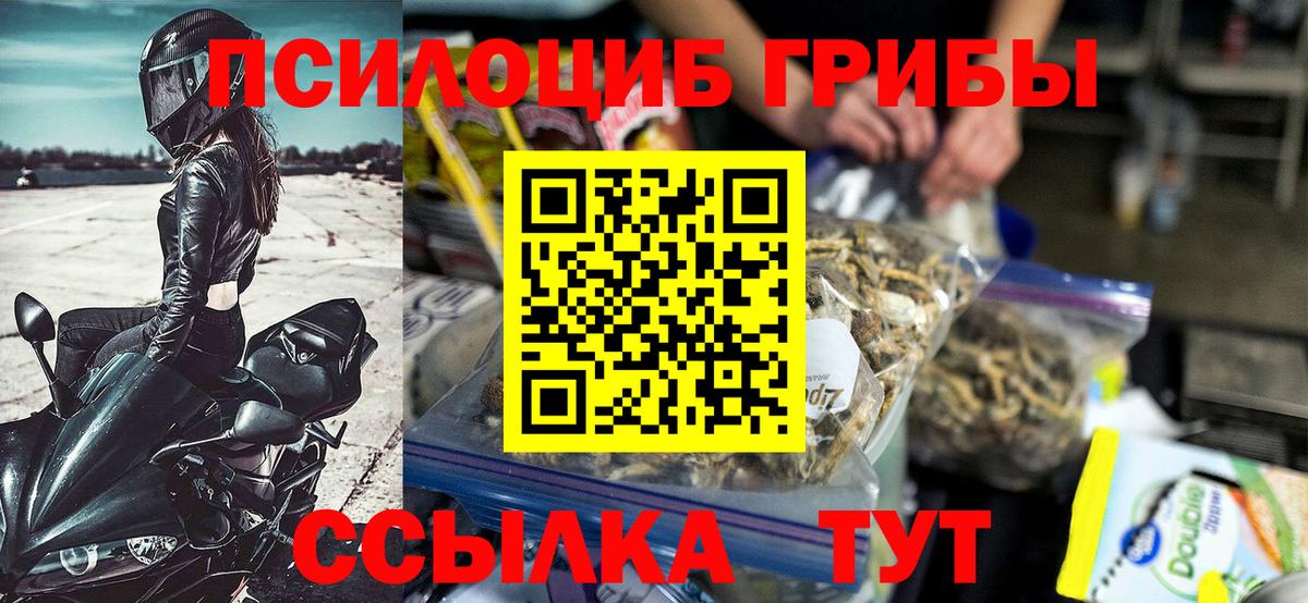 Александров  Галлюциногенные грибы GOLDEN TEACHER  Галлюциногенные грибы прущие грибы  Вход с VPN 